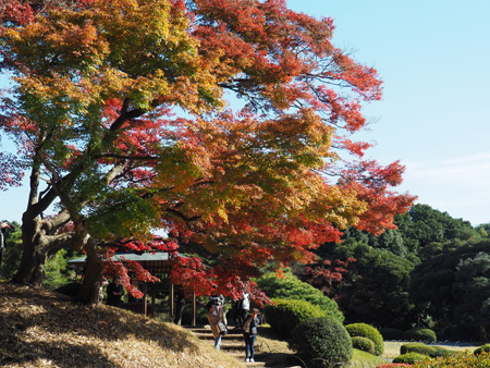 上の池
