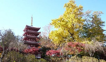 本土寺