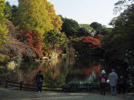 下の池