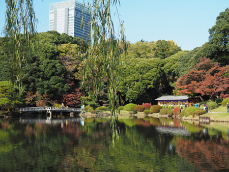 上の池