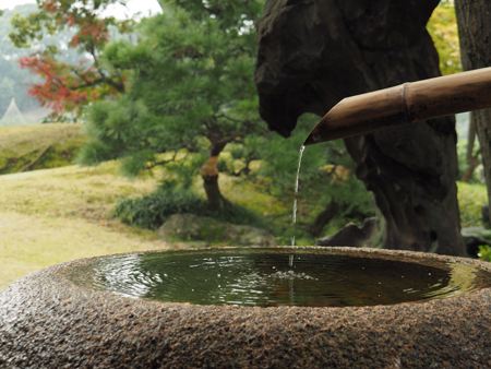 水鉢