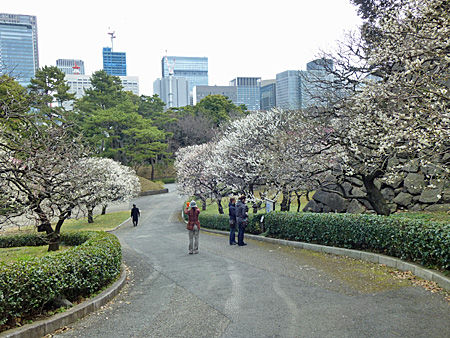 皇居