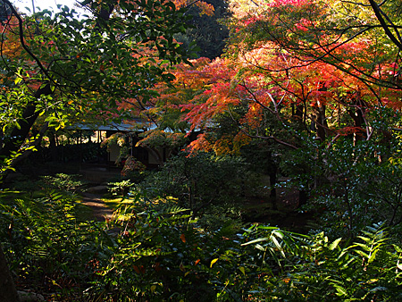 古河庭園