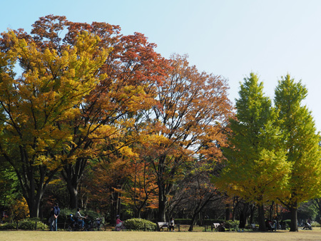 北の丸公園