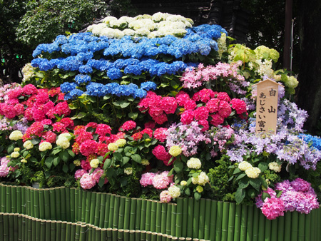 白山神社