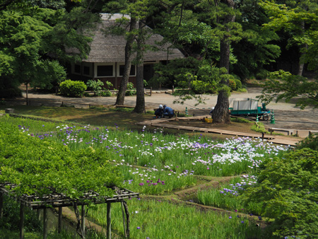 小石川後楽園