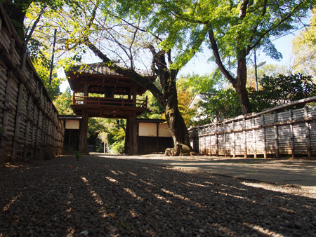 中院