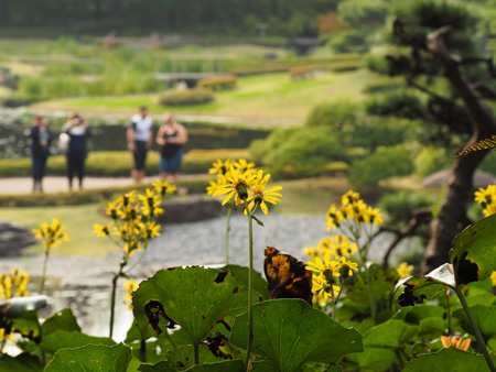 二の丸庭園