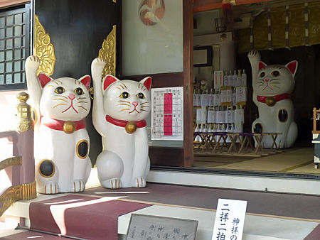 今戸神社
