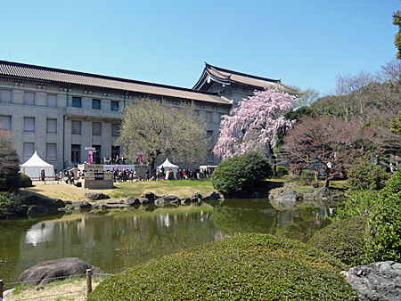 niwa2