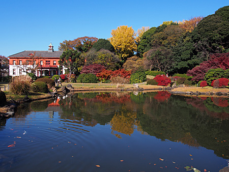 小石川植物園