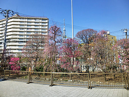 小村井香取神社