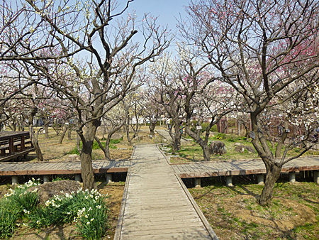 大谷田公園