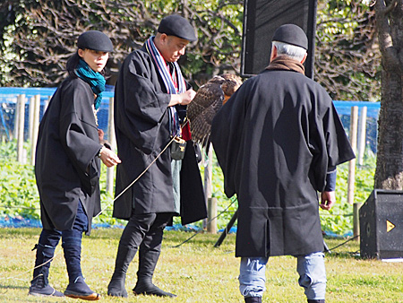 諏訪流放鷹術