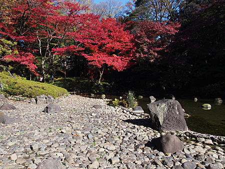 大堰川