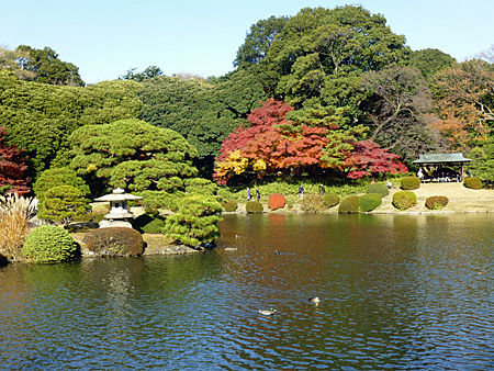 上の池