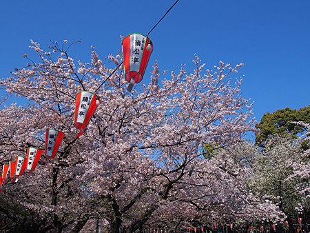 上野公園