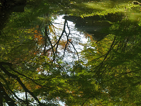 六義園