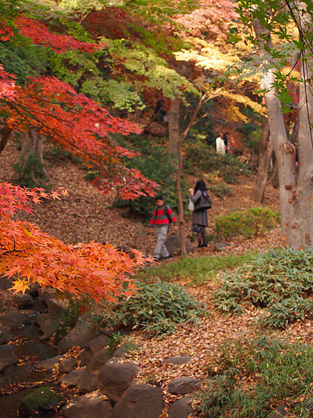 芝公園
