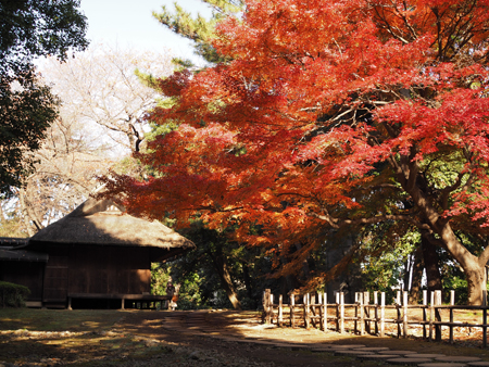 庭園