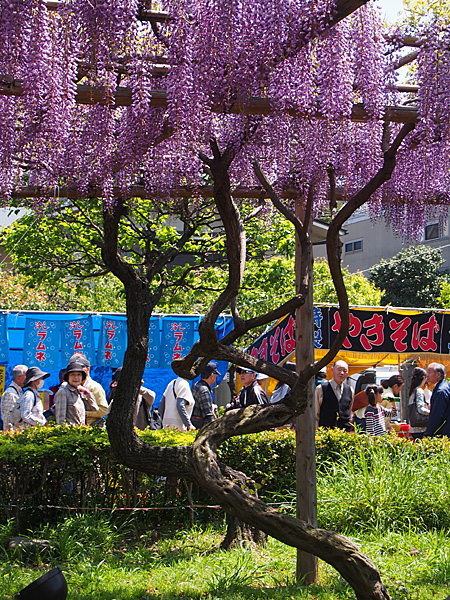 亀戸天神