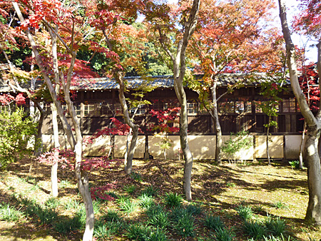 本土寺