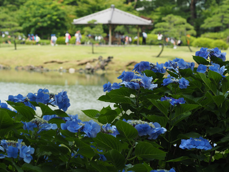 芝離宮庭園