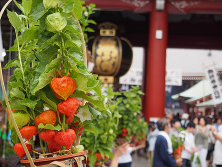 ほおずき市