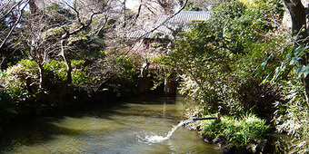 関口芭蕉庵