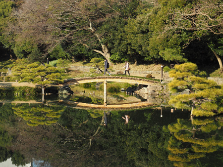橋