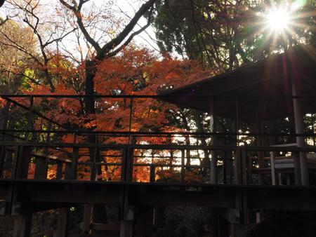北の丸公園