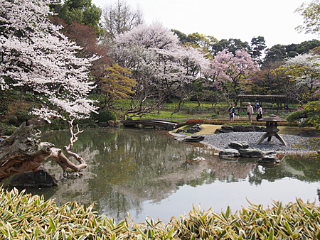 二の丸庭園