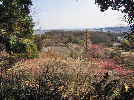 百草園 展望