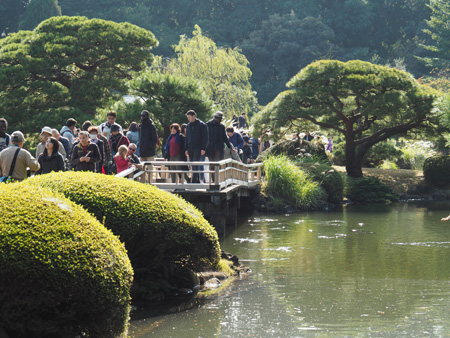 上の池
