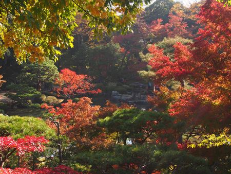古河庭園