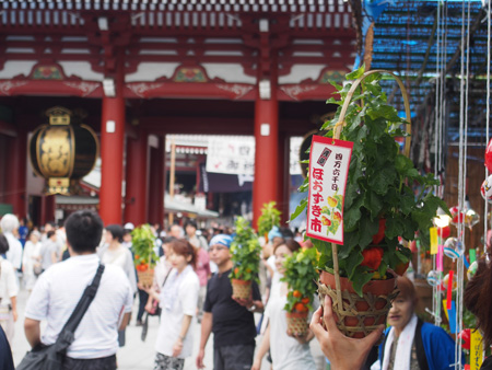 ほおずき市
