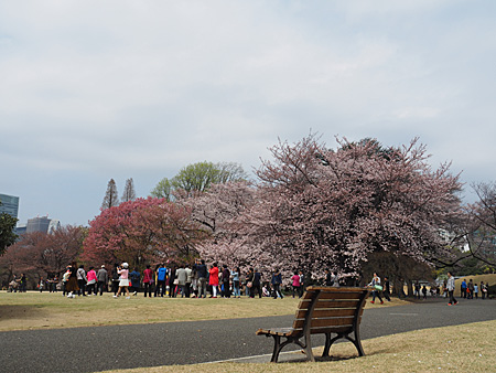 広場