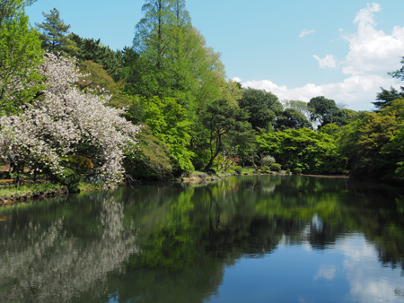 下の池