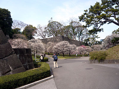 梅坂1