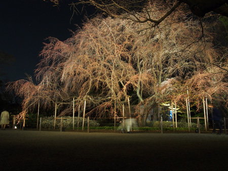 六義園