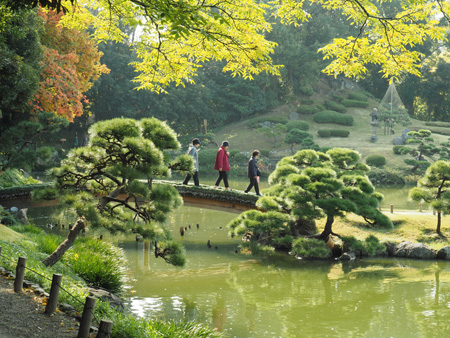 土橋
