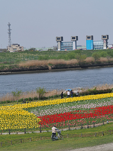 荒川土手