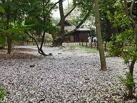 上野公園