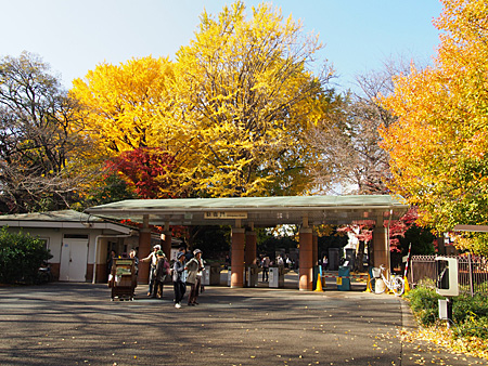 新宿御苑
