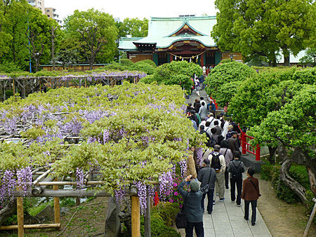 亀戸天神