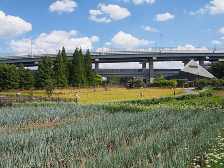 都市農業公園