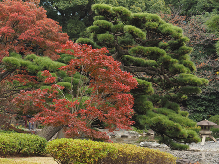 二の丸庭園