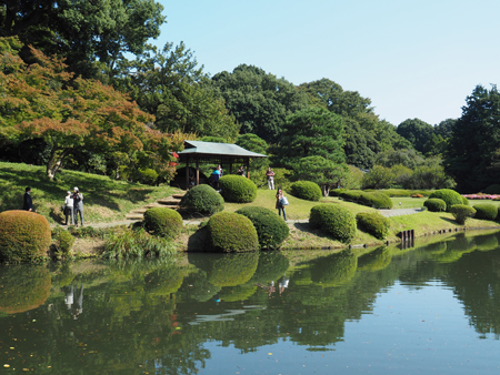 上の池