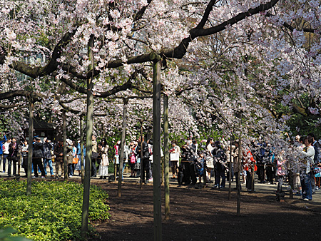 六義園