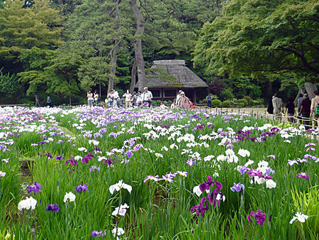 小石川後楽園